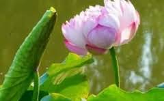 巨蟹座的女人生气了怎么哄