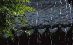 农业电子商务的主要特征是什么?