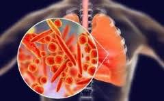 三七粉用多少度的水喝