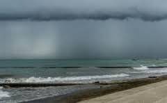 鲸鱼死后是浮在海面上还是沉入海底