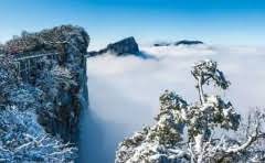 东风日产骊威油箱容量