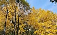 绗棉的好处是什么