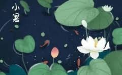 东风日产骊威油箱容量